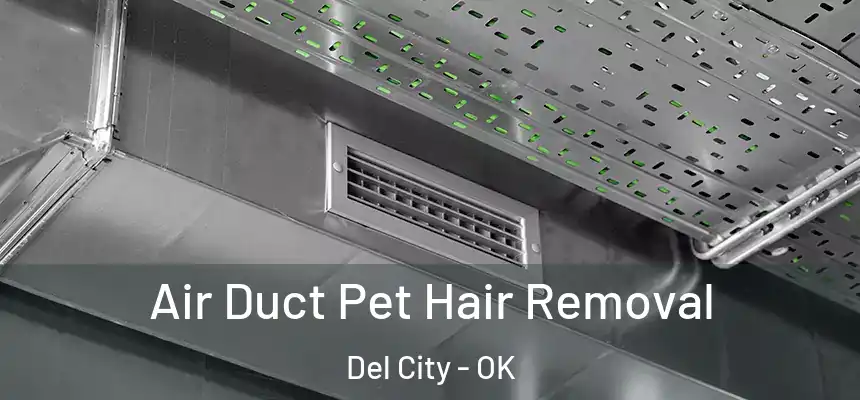  Air Duct Pet Hair Removal Del City - OK
