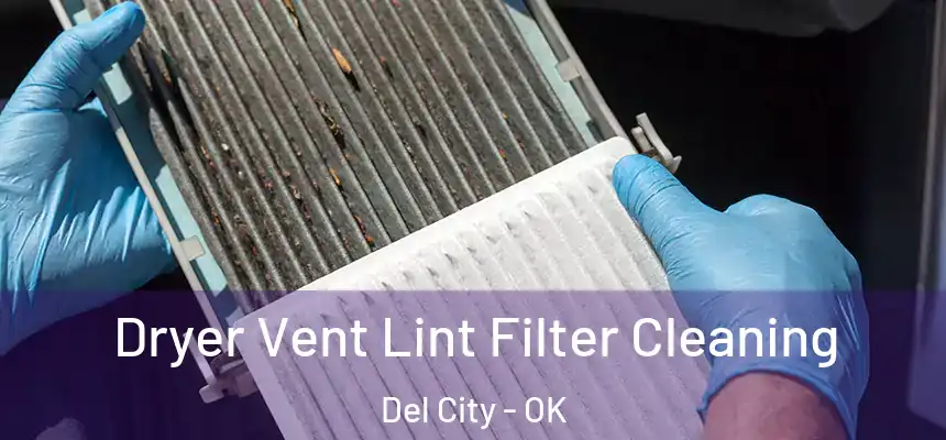  Dryer Vent Lint Filter Cleaning Del City - OK
