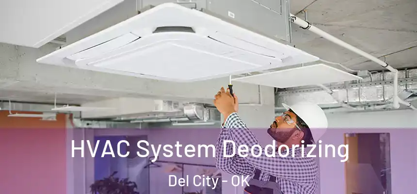  HVAC System Deodorizing Del City - OK