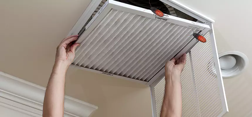 Preventive Cockroach-Proofing for Ducts in Del City