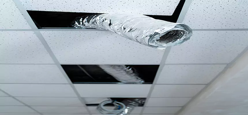 Our Air Duct Pet Hair Removal Services in Del City, OK