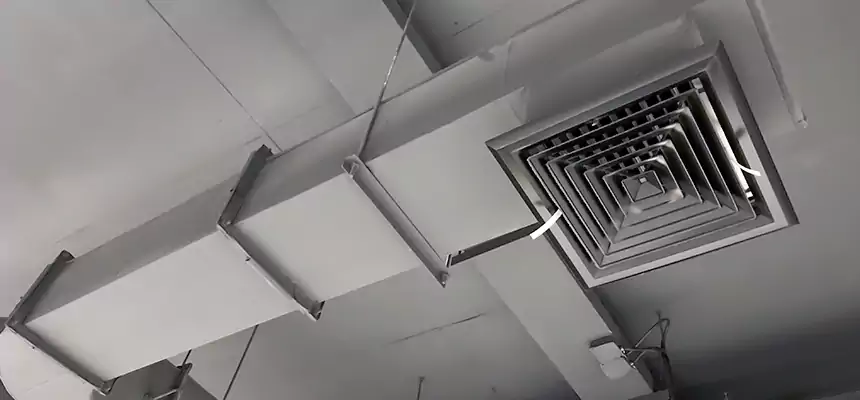 Our Pest Removal From Ducts Services in Del City, OK