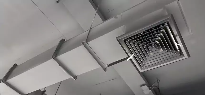 Our Rodent Droppings In Vents Services in Del City, OK