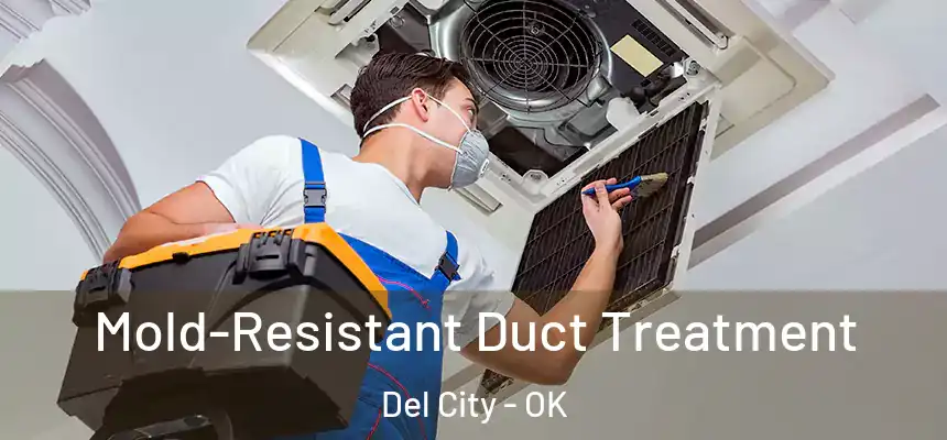  Mold-Resistant Duct Treatment Del City - OK