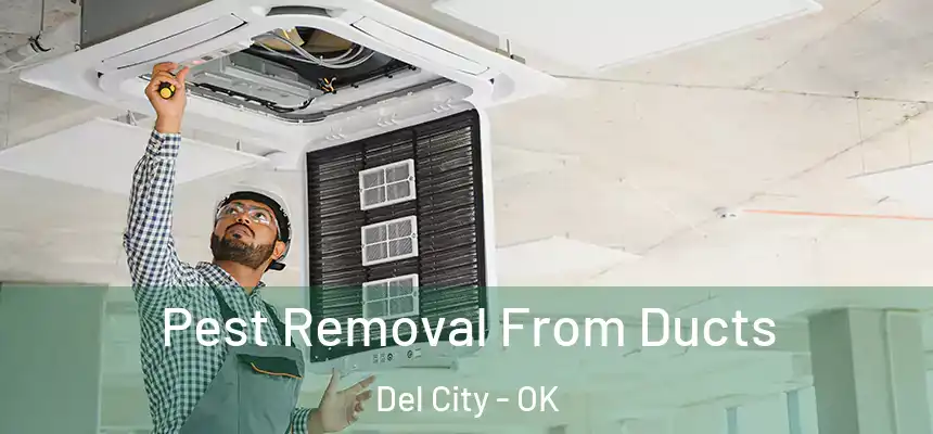  Pest Removal From Ducts Del City - OK