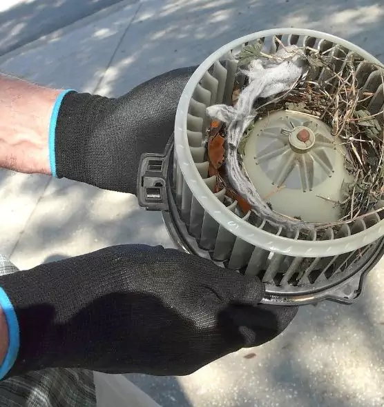 About Air Duct Mice Removal in Del City, OK