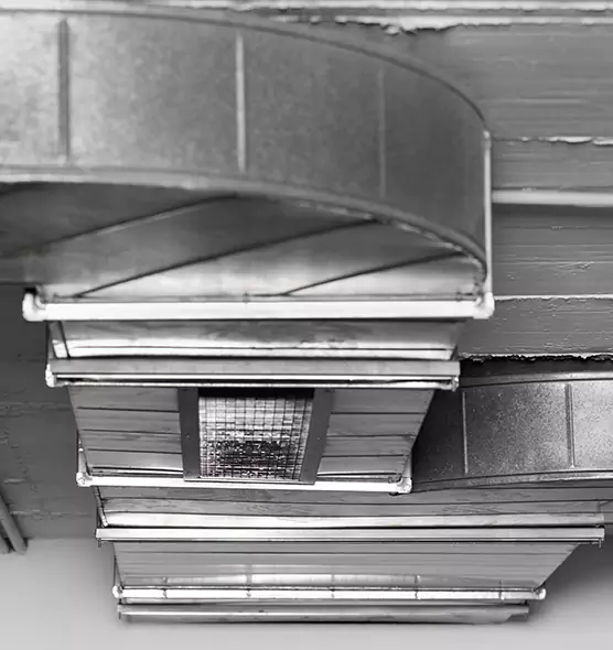 Professional Air Duct Pest Removal in Del City, OK