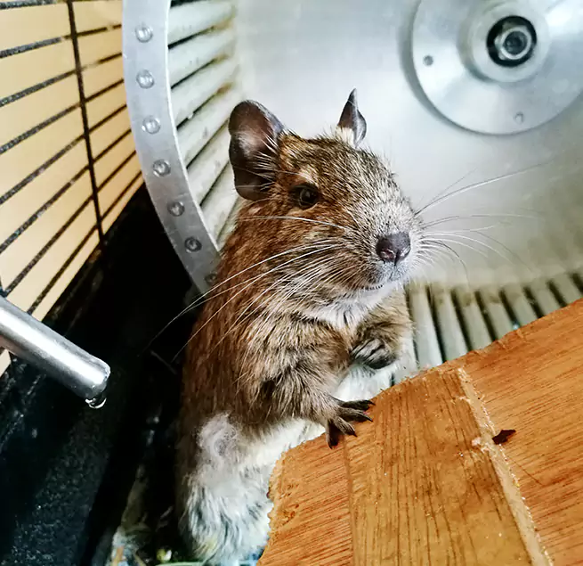 Why Homeowners & Businesses Trust Us Del City, OK